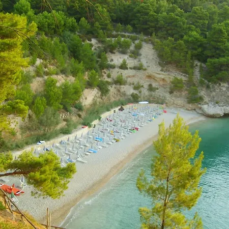 Delfini Pugnochiuso